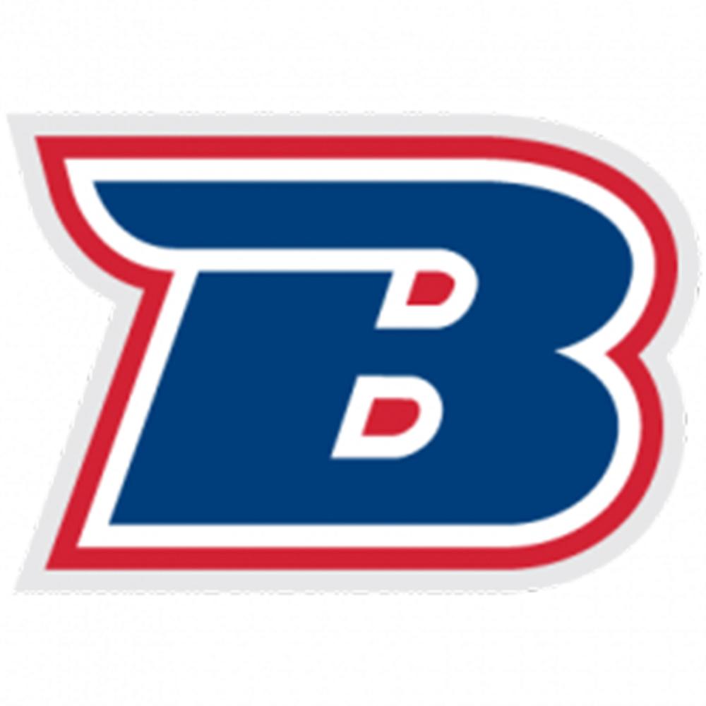 Bigfork School District School - Board Co-Chair icon