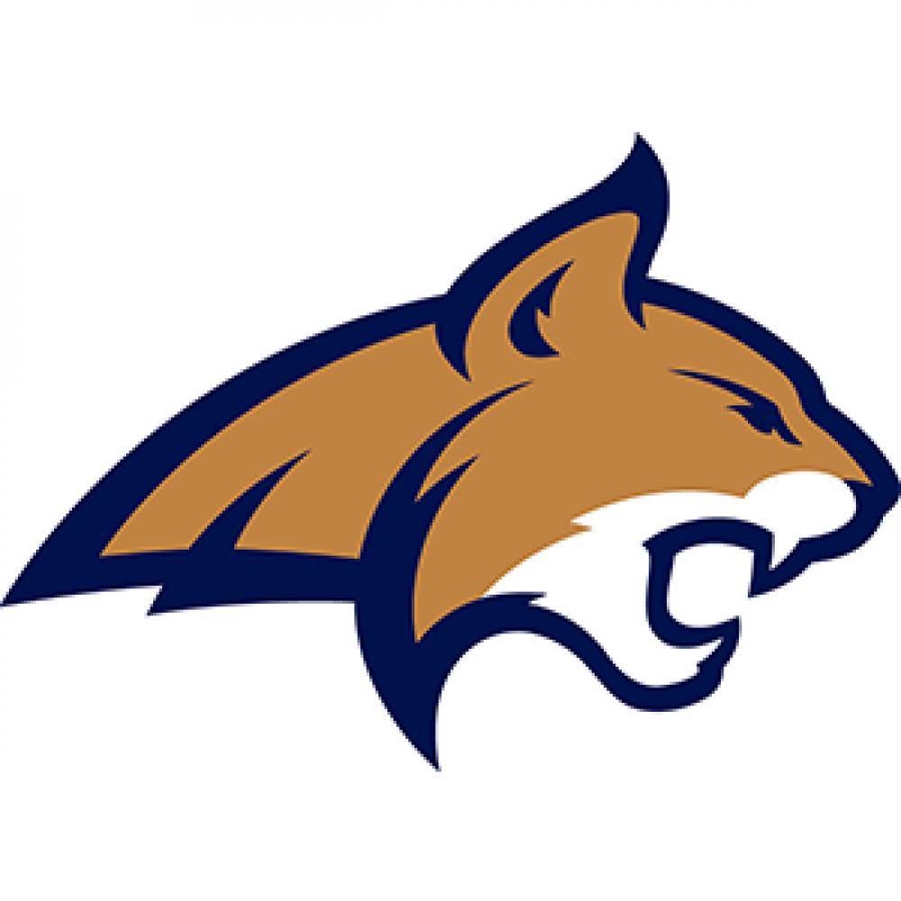 Montana State University, Bozeman MT icon